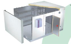 celle e mini celle refrigerate positive e negative