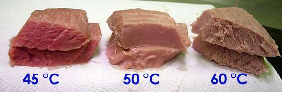 Cottura a bassa temperatura del pesce